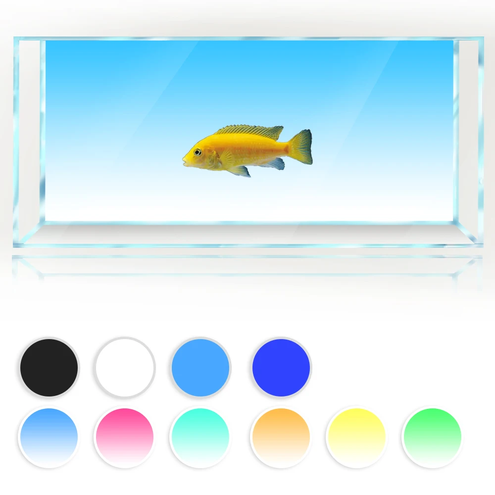 Fish Tank Background White Yellow Green Blue Black Gradient Simple Printing Wallpaper Aquarium Backdrop Decorations PVC