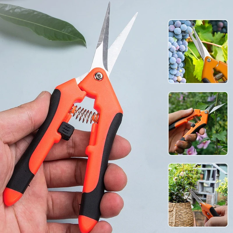 Imagem -05 - Jardinagem Tesoura Poda Ramo Árvore Tesouras Colheita de Frutas Scissor Erva Daninha Vasos Pruners Flor 1pc Aço Inoxidável