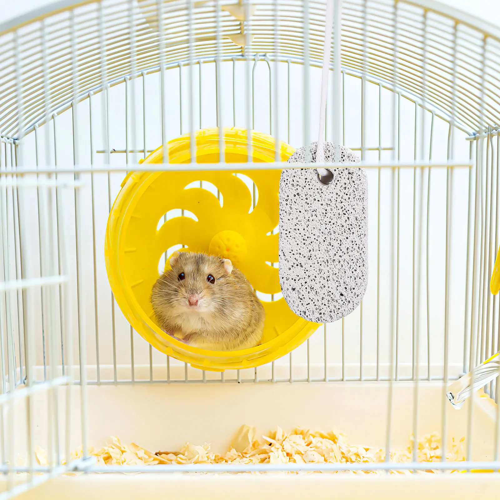 2 pierres molaires saines en roche volcanique pour hamster, chinchilla, cochon d'Inde – Essentiel pour le nettoyage et la mastication des dents, sûr pour les animaux de compagnie