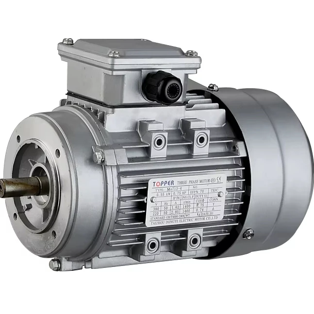 

YE3 80L1-0.75KW 3000rpm Three Phase Induction Motors Electric Motor Product Category