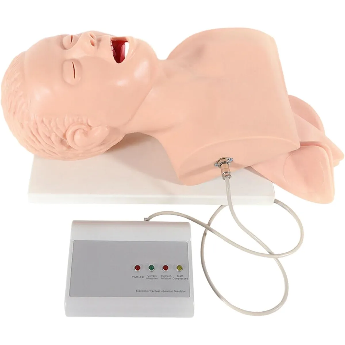 

Teaching Airway Management Model, Electronic Intubation Training Manikin , Airway Trainer for Medical Students(Adult Model)