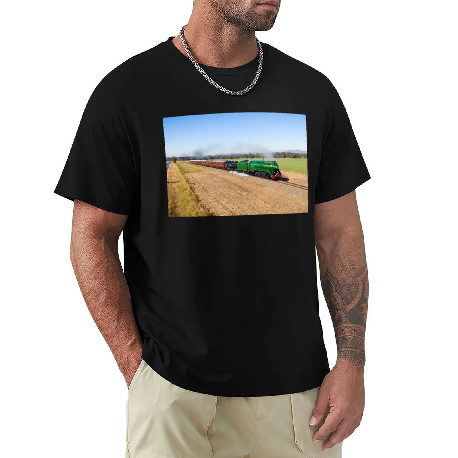 Riverina 3801 - Australian steam locomotive. T-Shirt cheap stuff for a boy boys animal print graphic shirts men