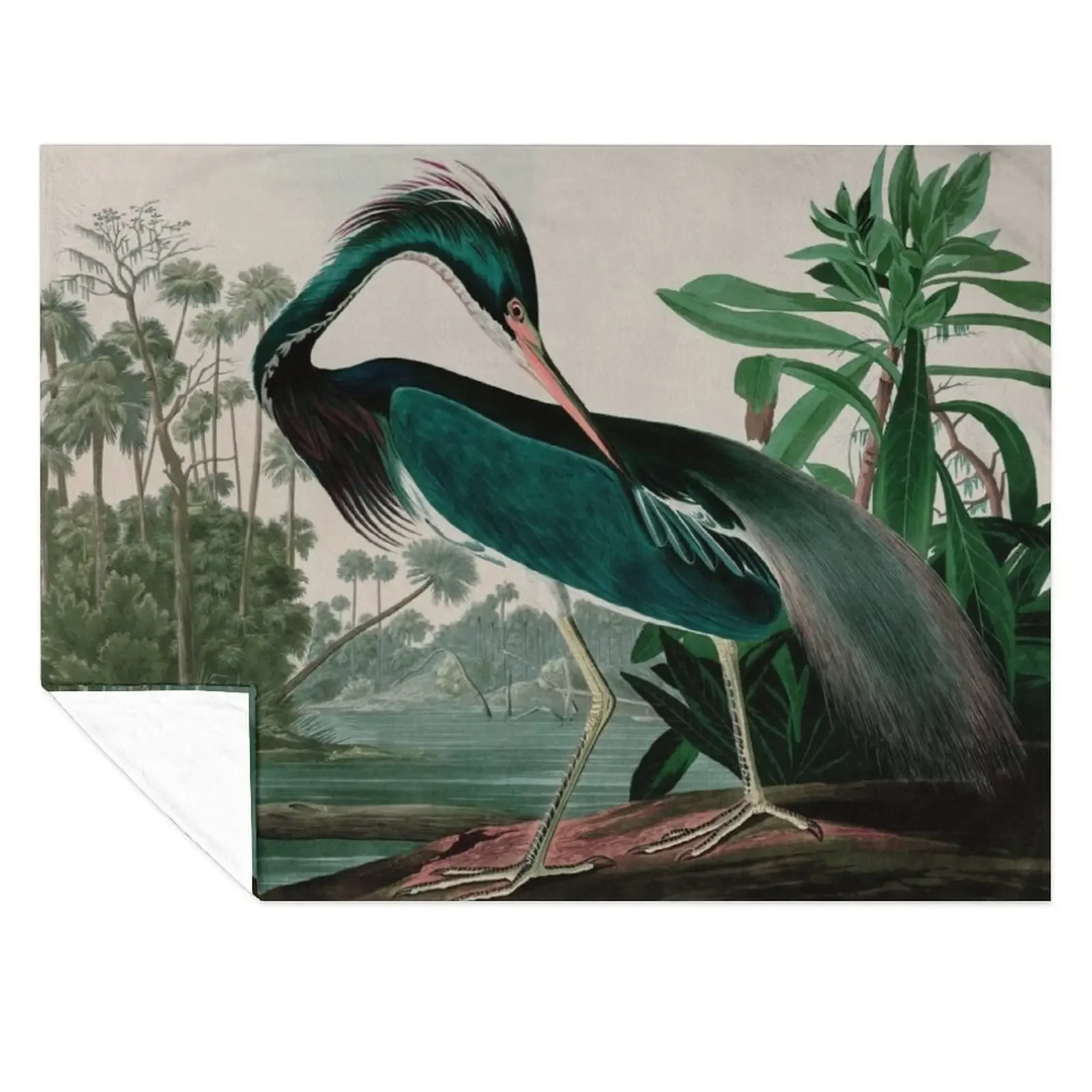 

Louisiana Heron Birds of America Audubon Illustration Bird Lovers Gift Throw Blanket sofa bed Nap manga Blankets