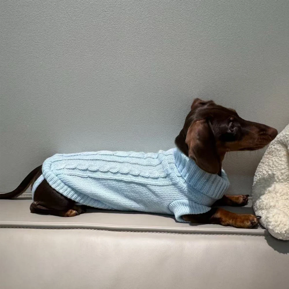 Elegant WarmTurtleneck Sweater for Miniaturedachshund Soft Knitted Sweater for Wiener Dogs Solid Color Sweatshirt for Badger Dog