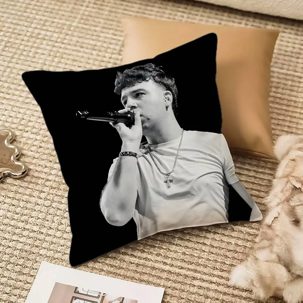 غطاء وسادة مغني الراب Q-Quevedo غطاء وسادة مضاد للغبار وسحاب غير مرئي أريكة حريرية من القطيفة