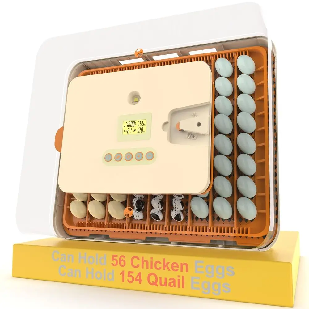 

Инкубатор для инкубации яиц курицы/киаила/ индейки 56-154, 360° ° Вид инкубаторы для птицы с автоматическим управлением поворота яиц/влажности