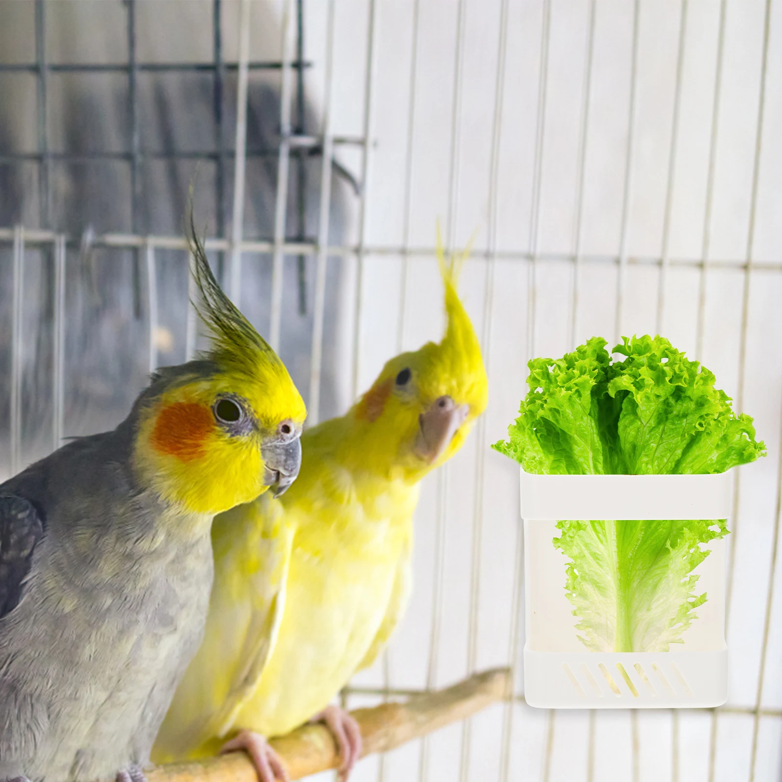 

2Pcs Parrot Fruit Vegetable Feeding Rack Durable Hanging Bird Cage Holder Practical Pet Food Container Bird Feeding Rack