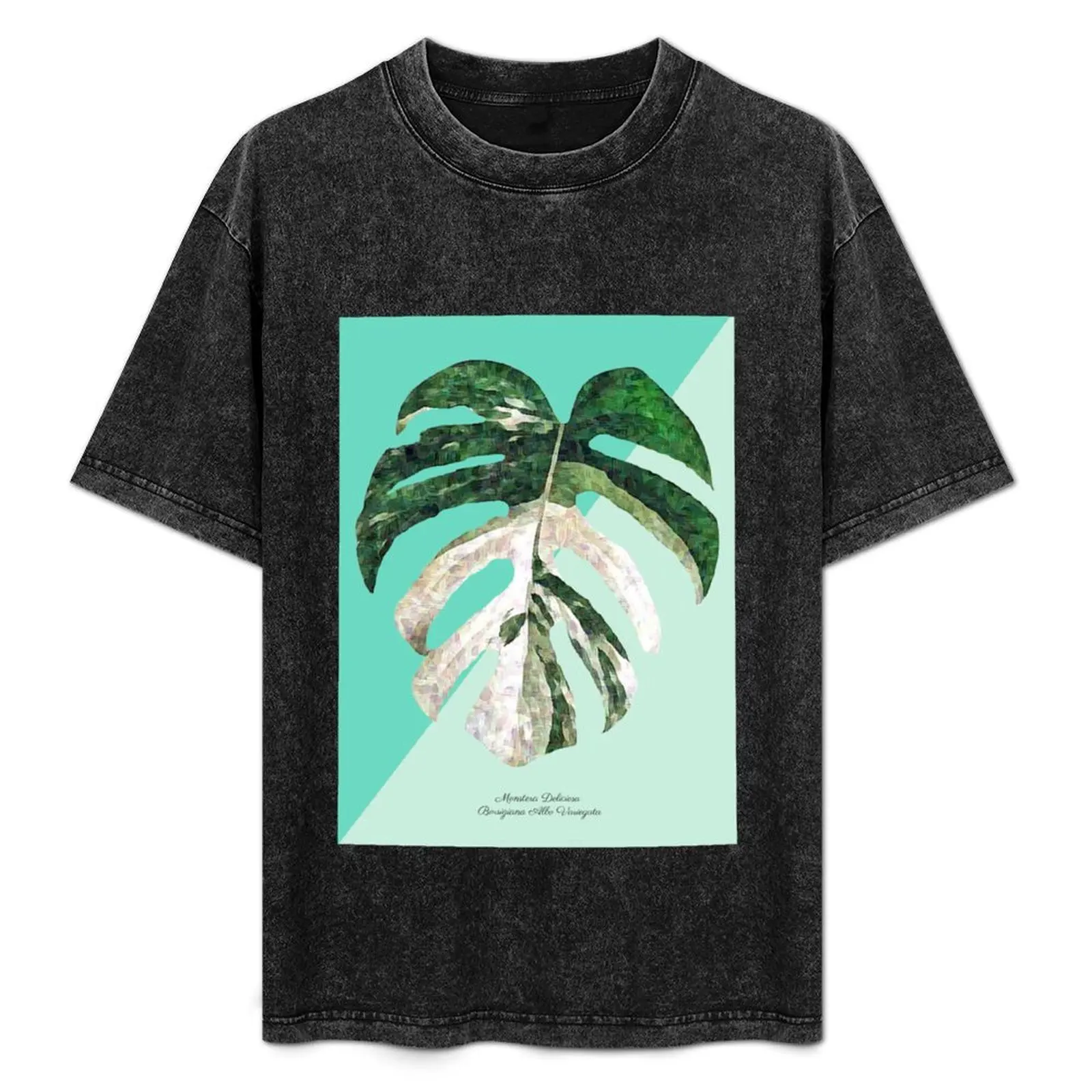

Monstera Deliciosa Albo Variegata Aquamarine T-Shirt Anti-Pilling Casual T-Shirt