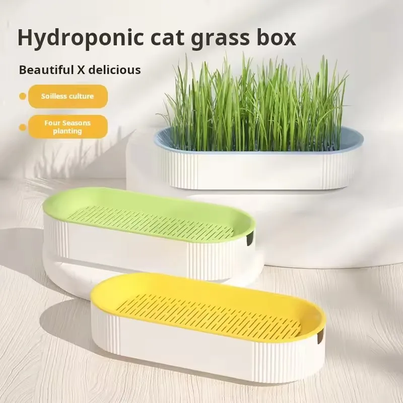 Hydroponic Cat Grass Box Cat Treats Catnip Hydroponic Soilless Planting Cat Grass Pot Set for Easy Growth