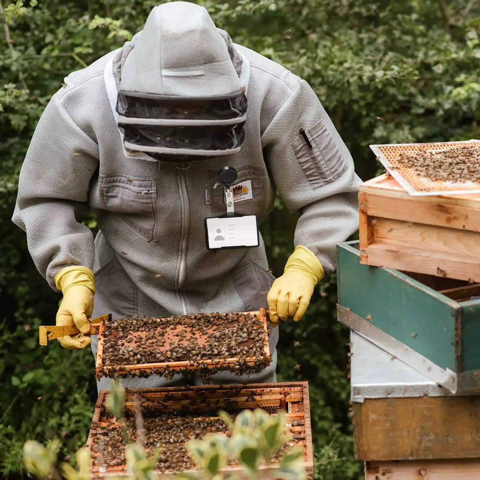 ตัวหนีบม้วนป้ายหดเก็บได้สีดำ50ชิ้นสำหรับใส่บัตรแสดงตัวตนสำหรับเครื่องใช้สำนักงานของโรงเรียน