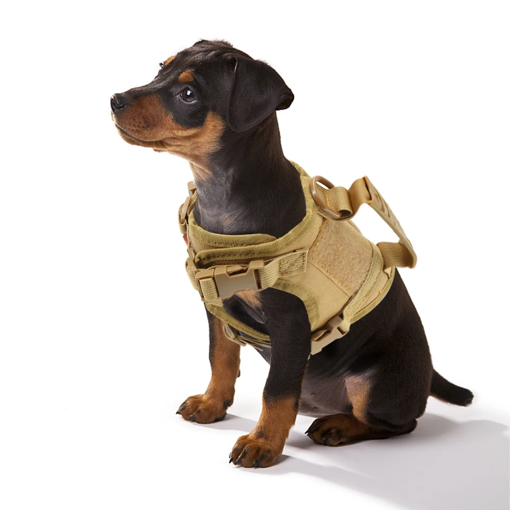 1pcs Tactical Puppy Harness Leash For Small Dogs Cats Adjustable Kitten Vest For Military Service Dog Working Training Walking