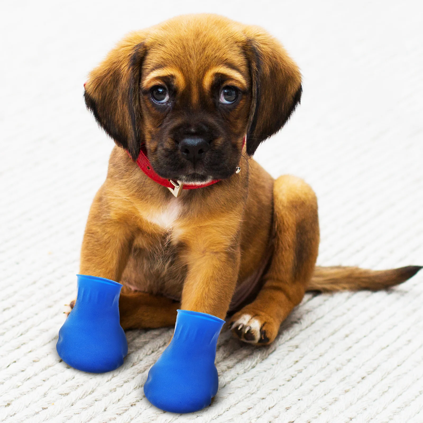 

4Pcs Waterproof Dog Shoes Durable Anti-Slip Outdoor Boots for Small Dogs Paw Protection Running Walking Pet Shoes