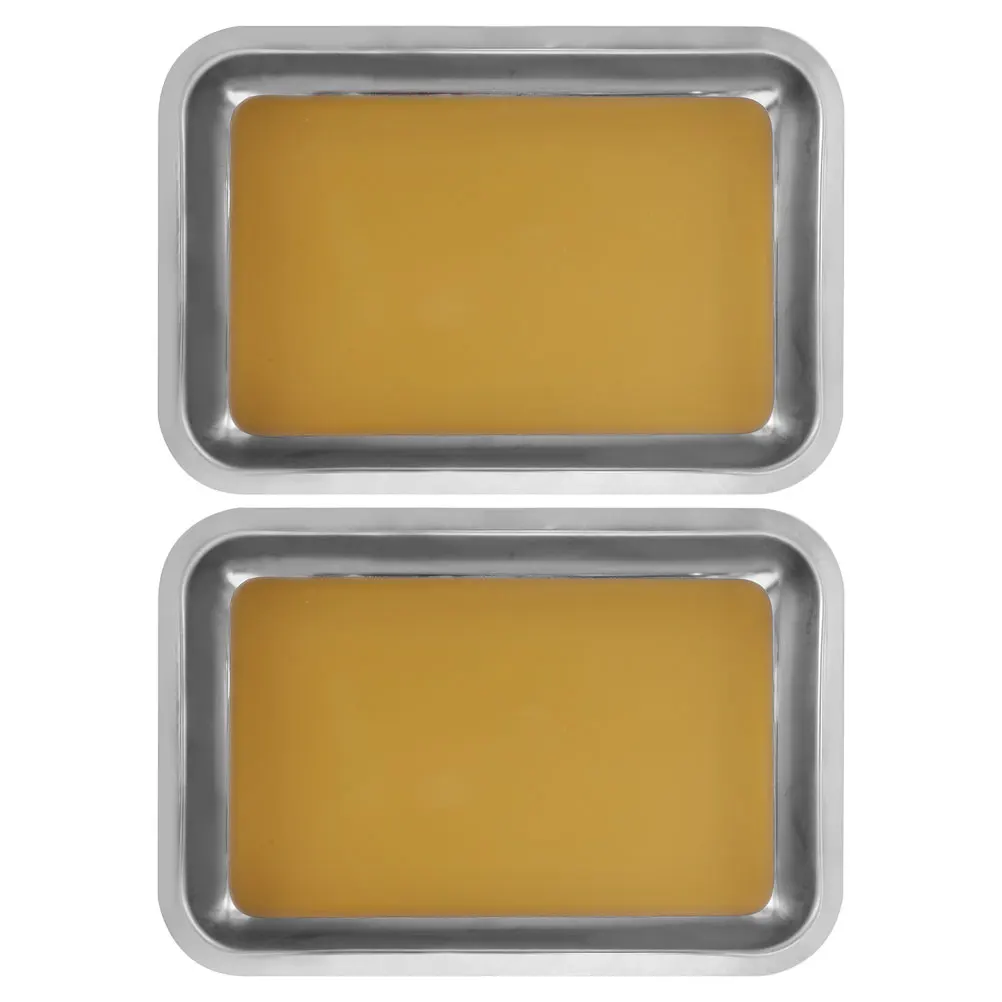 2 Pcs Anatomy Tray Biology Dissection Kit Dissecting with Wax Teaching Instrument Classroom Coating for Education Specimen