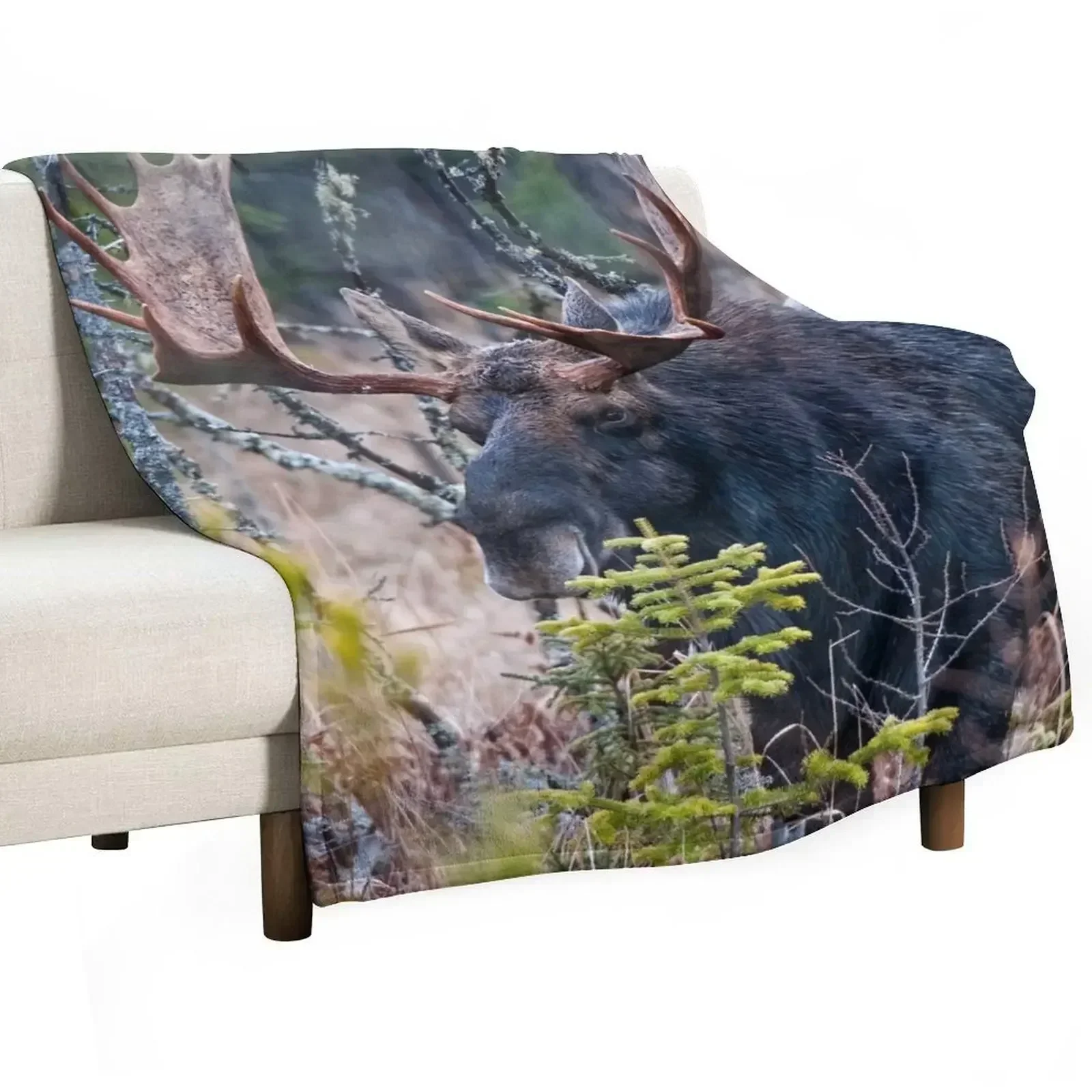 

Bull Moose Throw Blanket Furry Hairy Blankets