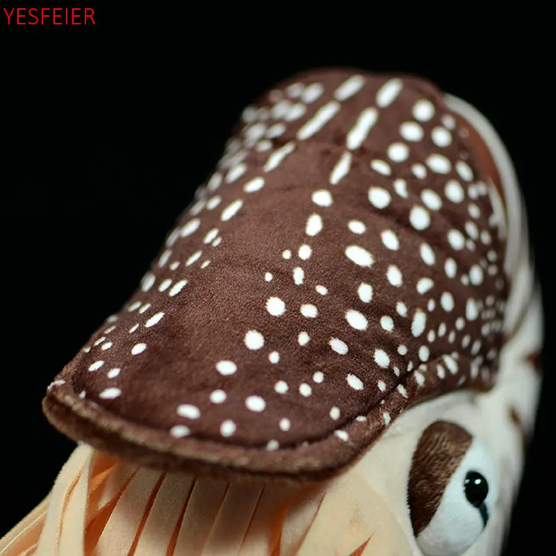 Schattige Mooie 20X18X9Cm Nautilus Pluche Speelgoed Chambered Nautilus Nautiloidea Model Zeeleven Knuffels Zachte Poppen Cadeau