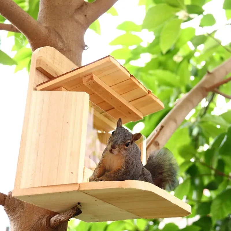 Wooden House Squirrel Feeder Large Capacity Squirrel Chipmunk Feeder Squirrel Feeder Box for Pet Outside Yard Garden Outdoors
