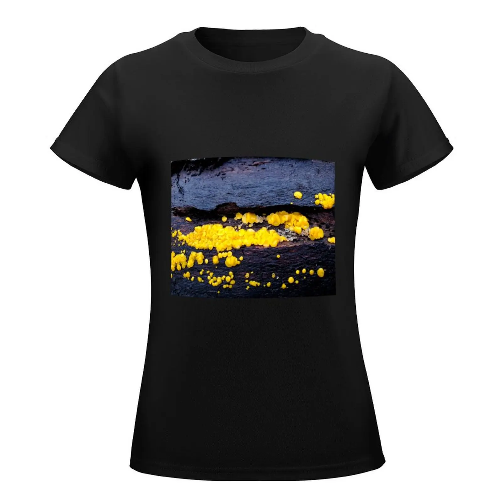 Calycina citrina T-Shirt Blouse aesthetic clothes tshirts for Women