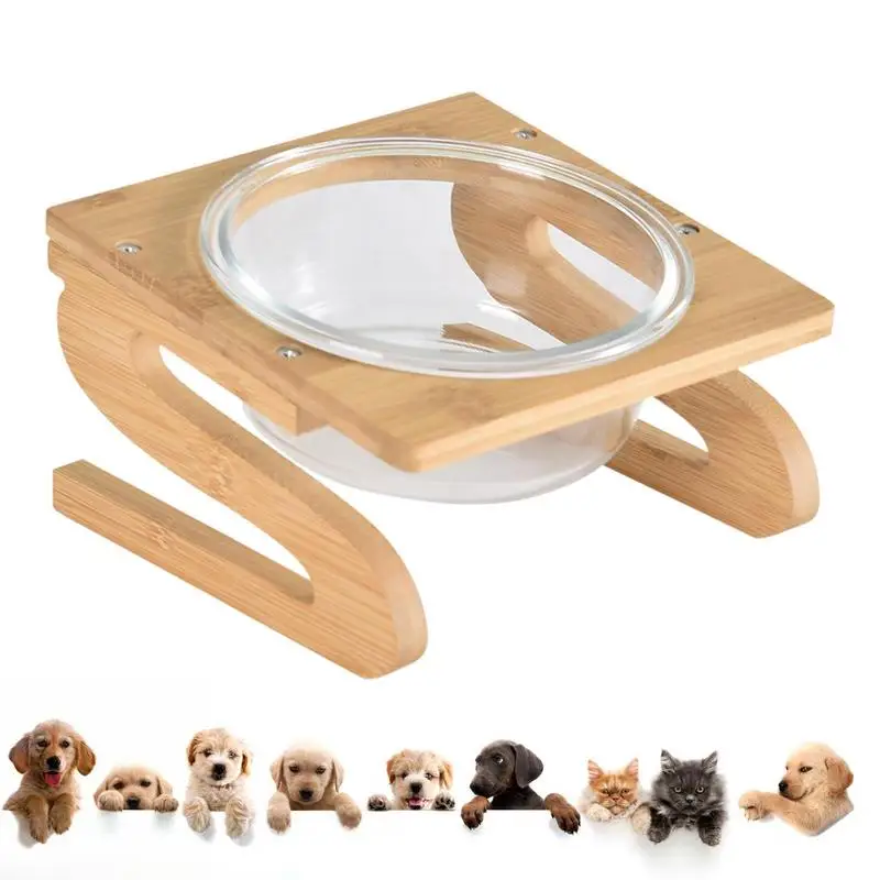 Cat Feeding Bowls Food Feeding Bowls For Pet Reusable Tilted Elevated Dog Bowls Raised Cat Food Bowls For Small To Medium Dog