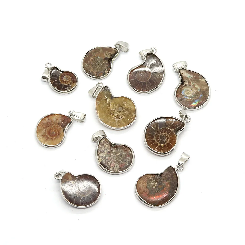 Natural Stone Ammonite Seashell Snail Shape Pendants Ocean Conch Shell Animal Charms Trendy Jewelry Making DIY Necklace Gifts