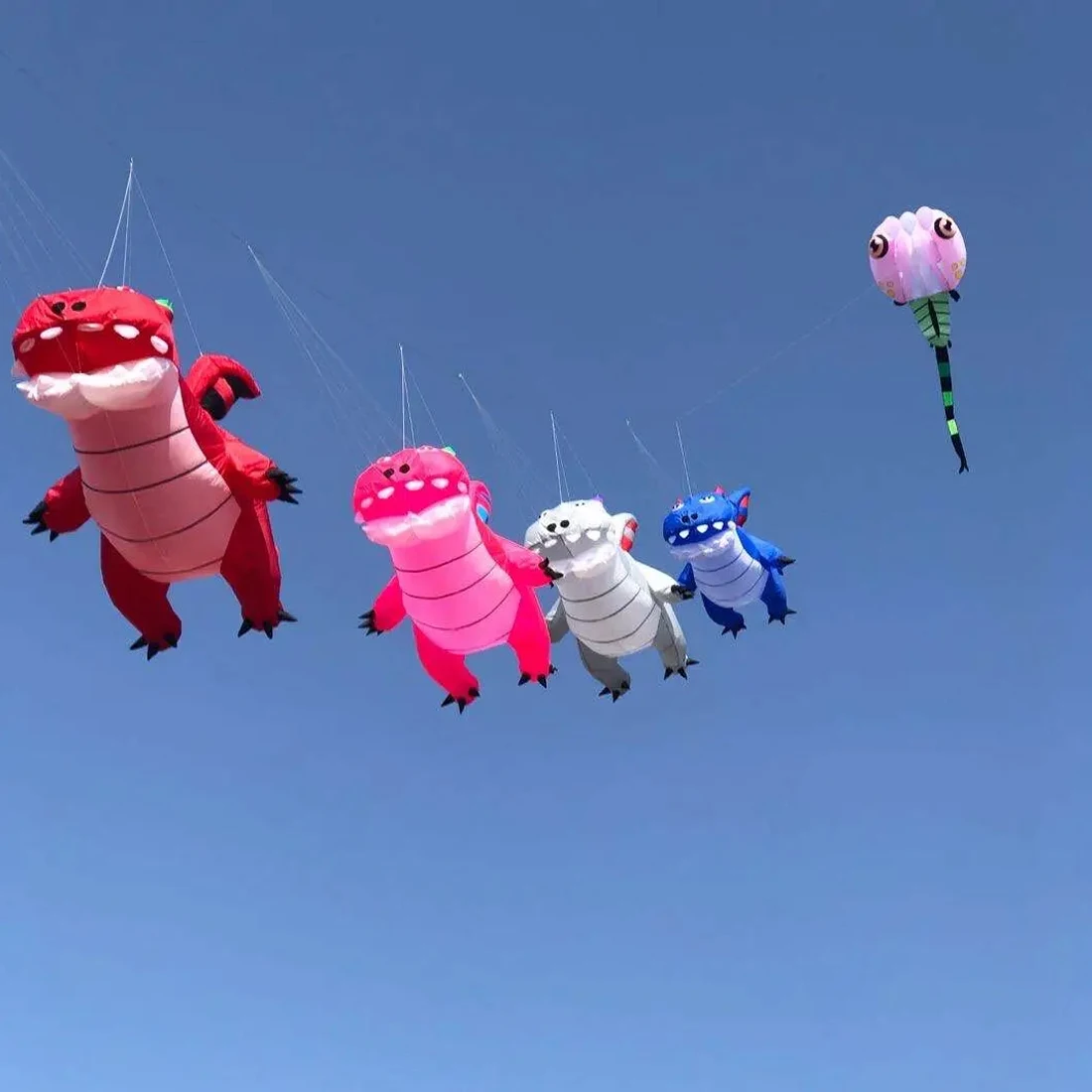 9 كجم 3.5 متر الطالب الذي يذاكر كثيرا التنين طائرة ورقية خط الغسيل قلادة لينة نفخ عرض طائرة ورقية لمهرجان الطائرة الورقية Ripstop نسيج النايلون مع حقيبة