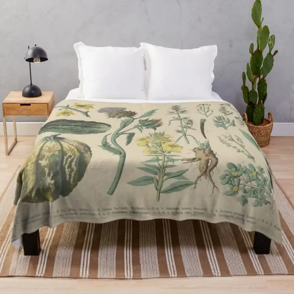 

Vintage botanical illustration Throw Blanket Softest Summer Fashion Sofas Blankets