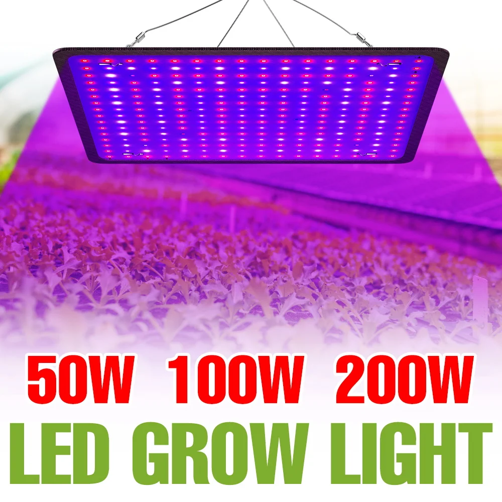 

200W LED Quantum Board Plant Lamps Full Spectrum Grow Light Indoor Greenhouse Tent Fruit Seeds Flower Vegs Cultivation Lighting