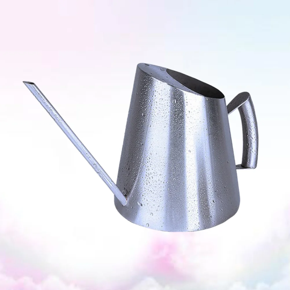 

Plant Watering Can Metal Kettle Succulent Device Stainless Steel Silver Flower Gardening Tool