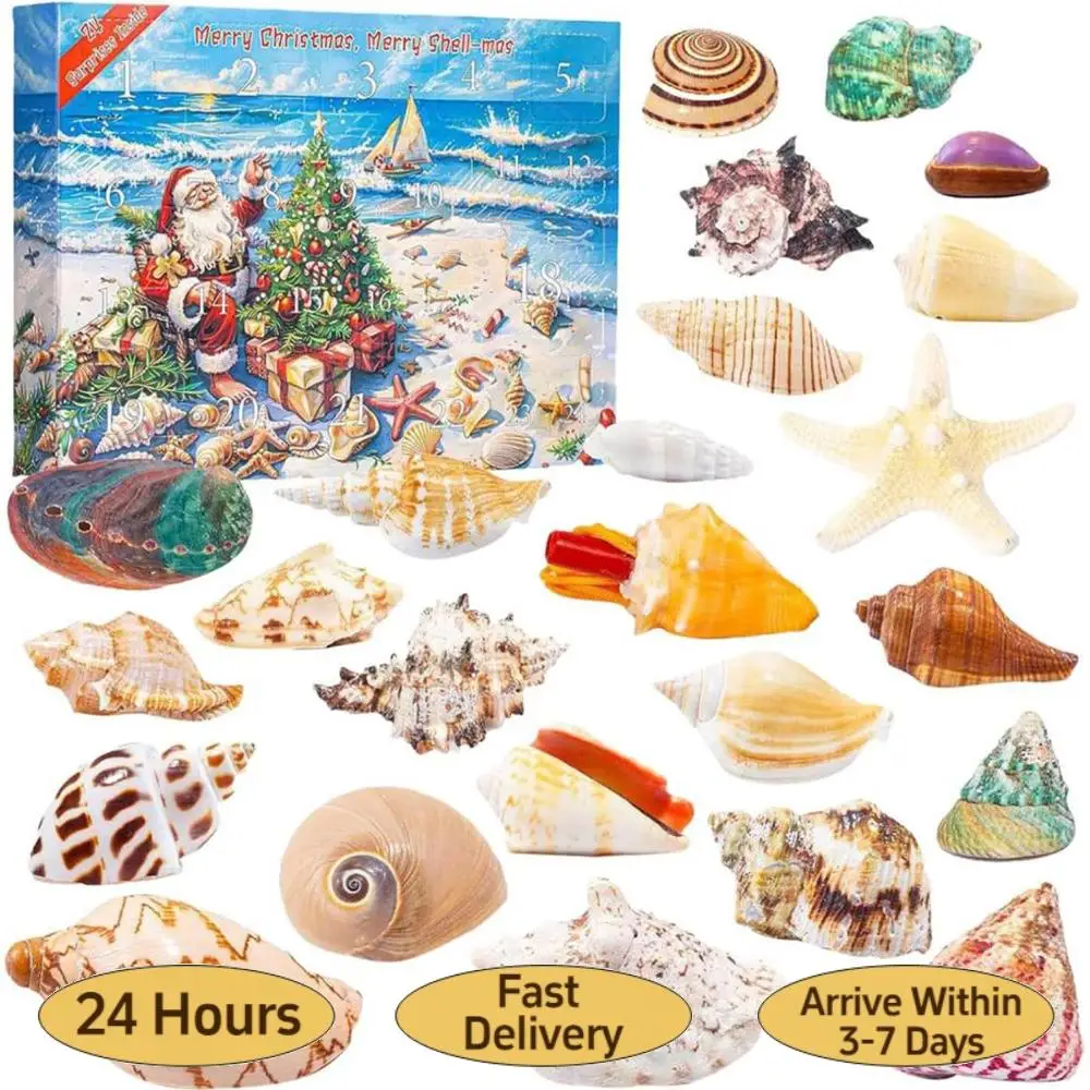 

Seashells 24 Days Christmas Countdown Calendar Christmas Advent Calendar Holiday Countdown Calendar Holiday Gift for Kids