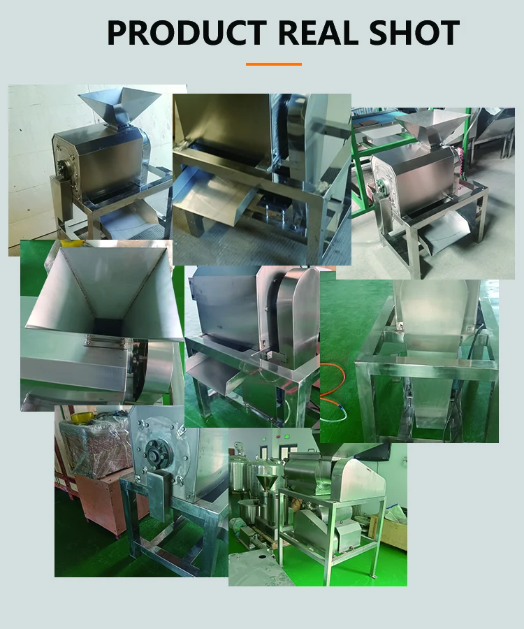 Sauce Production Equipment Beater Mango Seed Remove Machine Mango Juice Processing Machine