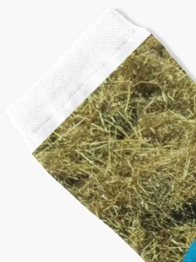 Major Distraction Socks tennis sheer gym moving stockings Socks Male Women's