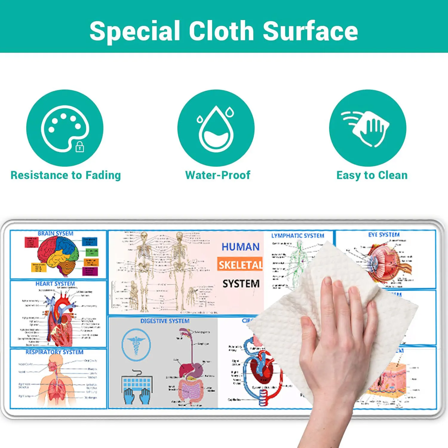 Medical Large Mouse Pad Human Anatomy Desk Mat Anatomy and Physiology Study Tools Suitable for doctorsMedical Assistant Gift
