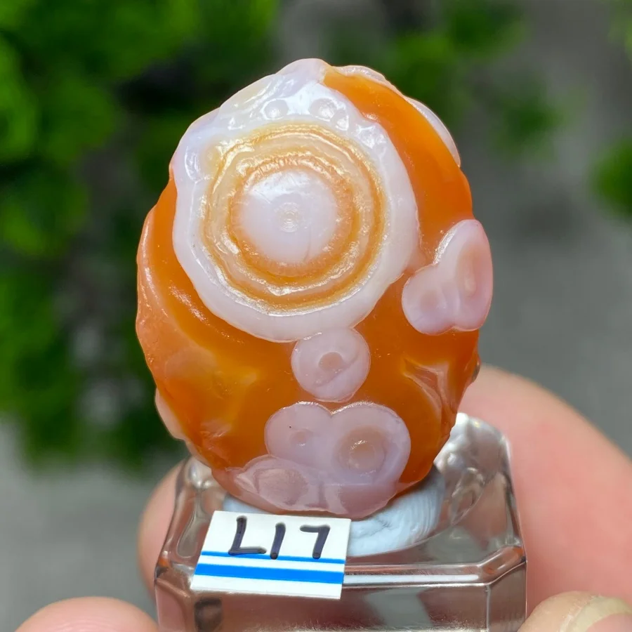 Natural  Gobi Alxa Eye Rock Mineral Specimen  Sardonyx Agate  Energy Crystal  Reiki Healing Stone  Home Decor+Bracket
