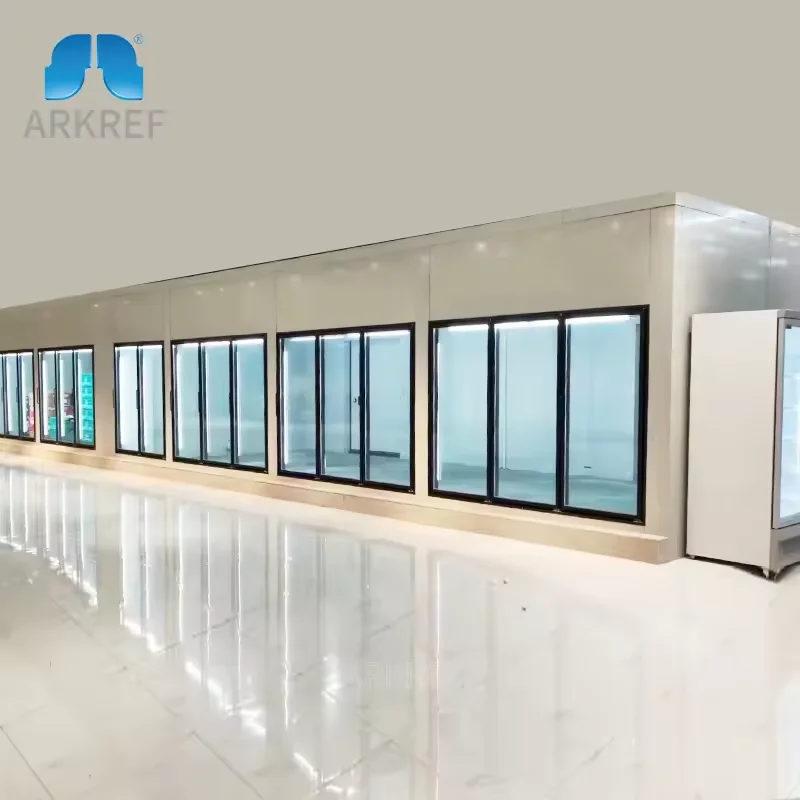 Camminata nella stanza fredda Refrigerazione modulare all'ingrosso Camminata nel contenitore del congelatore 10FT 20FT Sala di conservazione frigorifera per carne e verdura