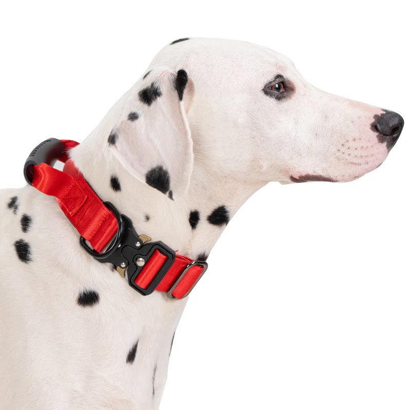 Taktisches Hundehalsband für mittelgroße und große Hunde, robuste Hundehalsbänder mit Griff, Hundetrainingshalsband mit Metallschnalle, dickes Militär – Detail 10