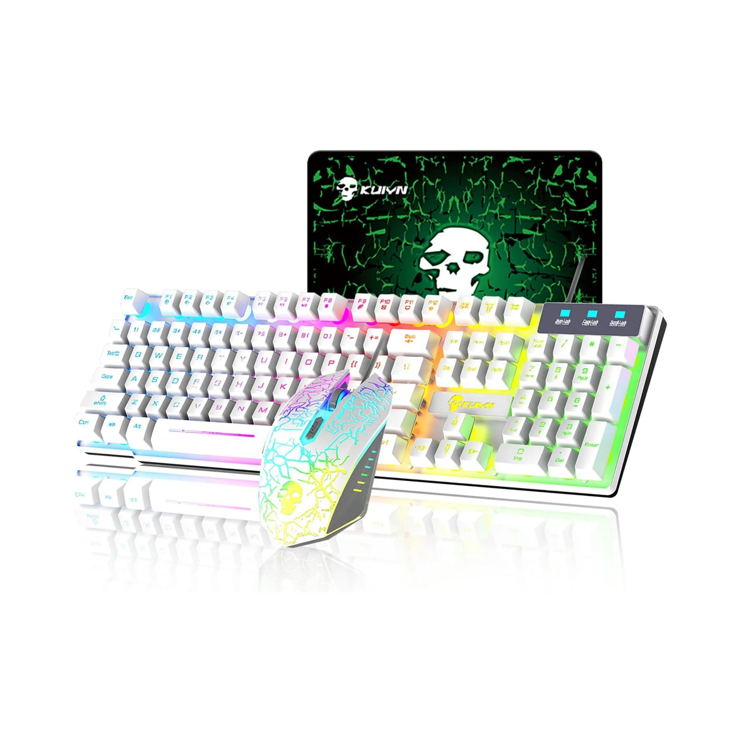 

MAMBASNAKE x KUIYN T6