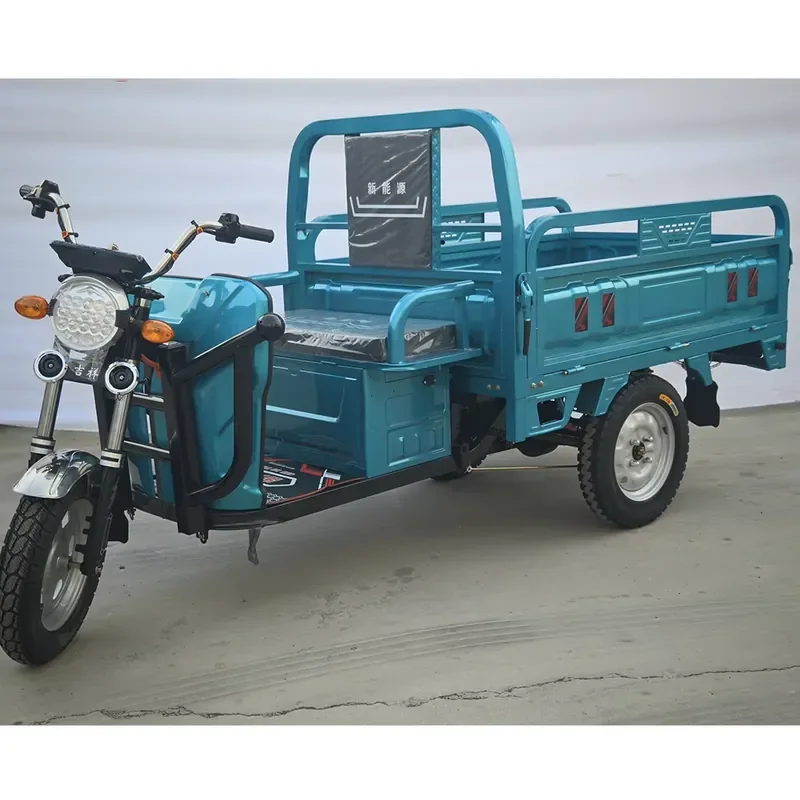 Hot Selling Electric 3 Wheel Motor Bike,Quality Protection Electric 3 Wheel Motorcycle,3 Wheel Electric Tricycle Cargo