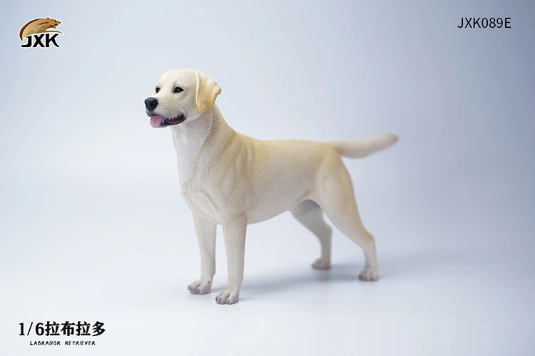 JXK089 1/6 Escala Resina Labrador Cão Pet Animal Bonito com Colete Modelo para 12 "Action Figure Decoração Cena Enfeites Acessórios