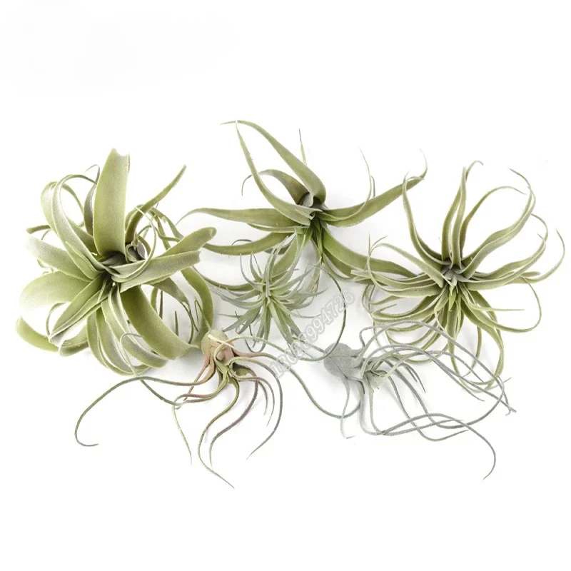 Artificial Flocking Fake Bromeliads Air Plants Hanging Simulation Tillandsia Plants For Home Wedding Party Flower Decoration