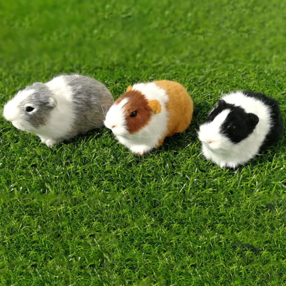 Simulation de fourrure de hamster, overd'Inde réaliste, figurine d'animal en peluche douce, décoration d'intérieur mignonne, beurre en peluche, cadeau pour enfants, nouveau