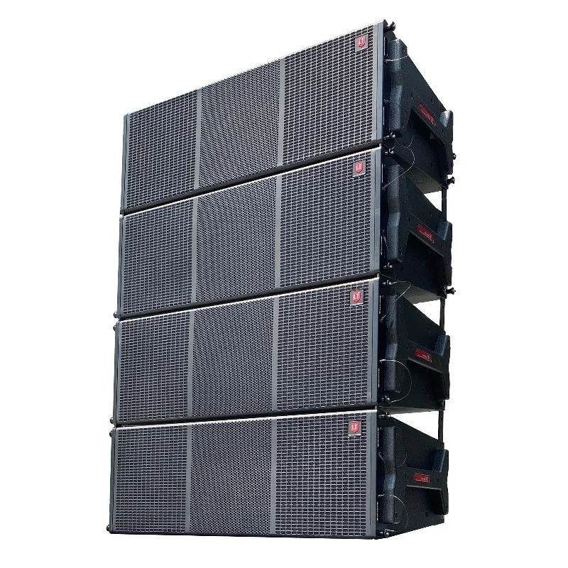 Dual 12 Inch Wooden Empty Passive Line Array Cabinet Professional Sound