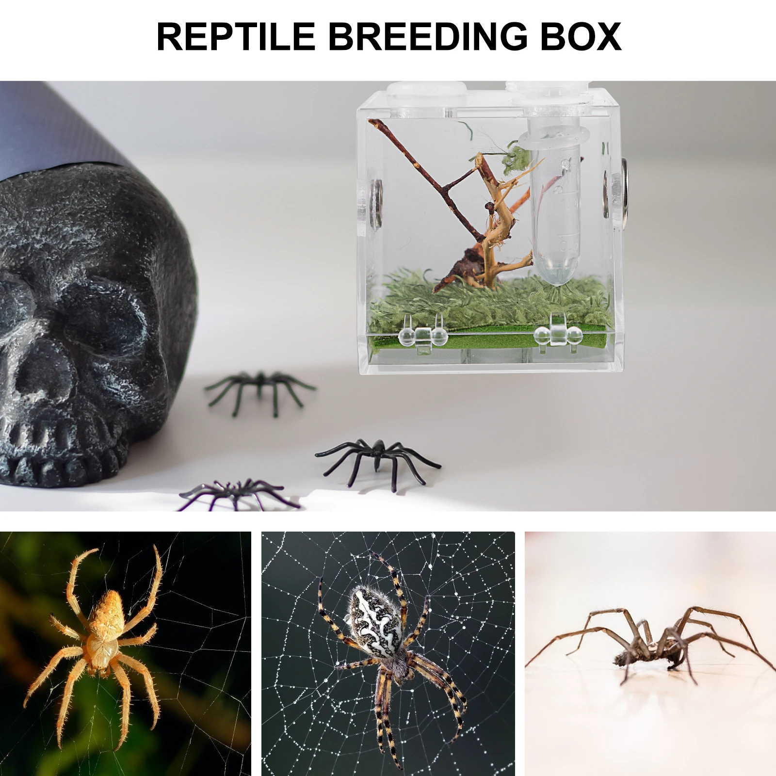 

Spider Terrarium Jumping Breeding Box Small Enclosure for Tarantula Portable Acrylic Reptile Case Insect Play Rest Space