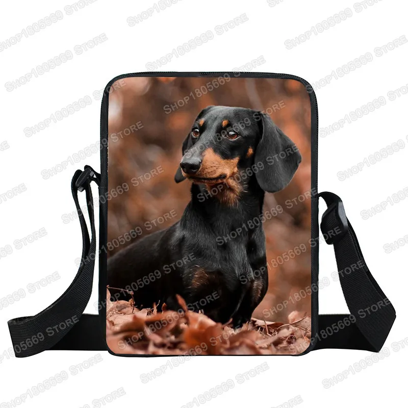 Uroczy pies jamnik torba damska torebka dziewczyny tornister torby wypoczynek krzyż torby do podróży damska torba na ramię Bookbag