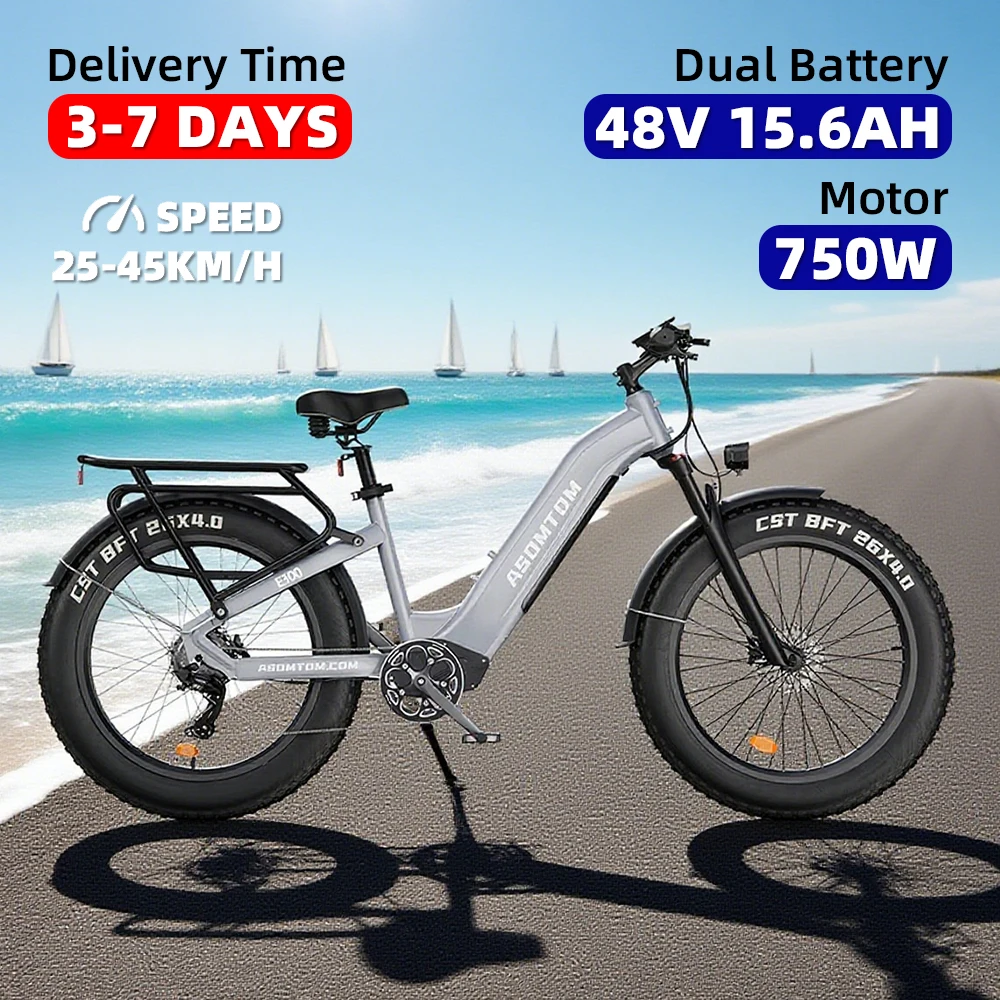 

One piece dropshipping 26 inch electric bicycle octagonal motor 750W48V15.6AH off-road electric snowmobile from the United State