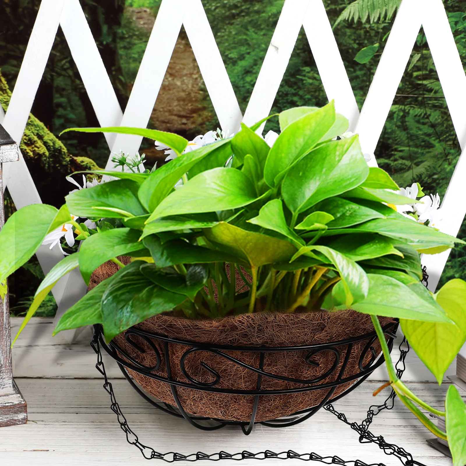

Metal Hanging Planter Garden Basket Liner Chain Durable Iron Outdoor Indoor Decor Gift 16 Inch Hanging for Outdoor Plants
