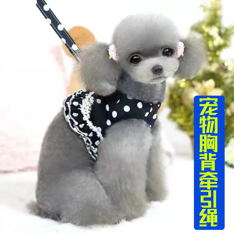 Vest Type Pet Harness Traction Rope Cute Chest Strap Small Puppy Anti Bite Walking Leash Comfort Pet Outfit