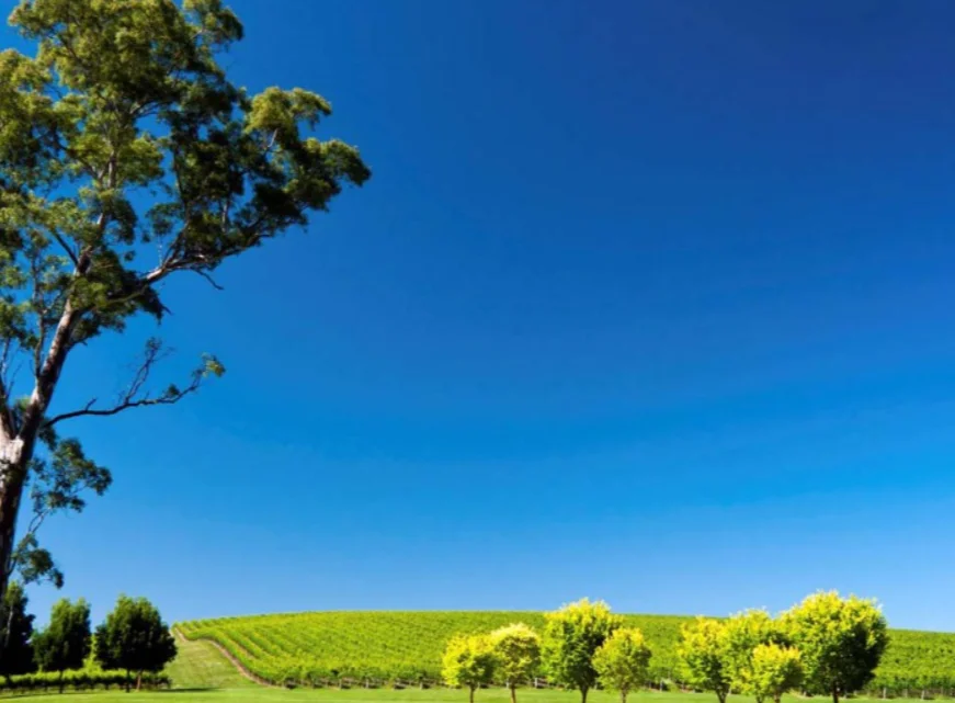 

JX PDI-HV0702MG-B 7g Цифровой мини-сервопривод с металлической шестерней без сердечника для FPV-дрона с фиксированным крылом, вертолета, радиоуправляемых моделей