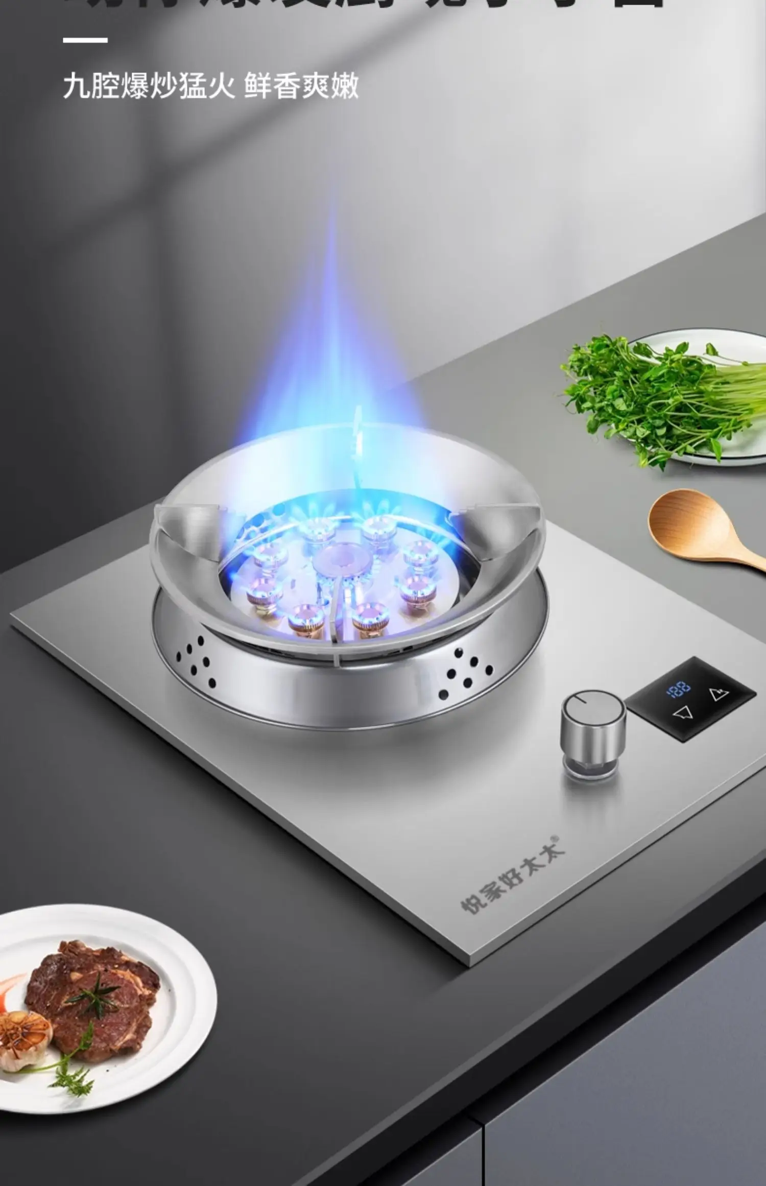 Gas Stove for Home Single Cooker Built-in Energy Saving Natural Gas Liquefied Gas Embedded Tabletop Strong Fire