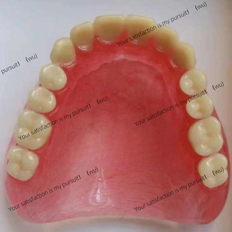 ZOCI-Complete Removable Full Denture Model Senior Edentulous Teeth Dental Teaching Demonstration Display Supply view 4