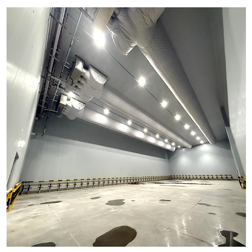 Industrial Large-Scale Cold Storage Warehouse PU Insulation Cold Storage Blast Freezer Room for Food Storage