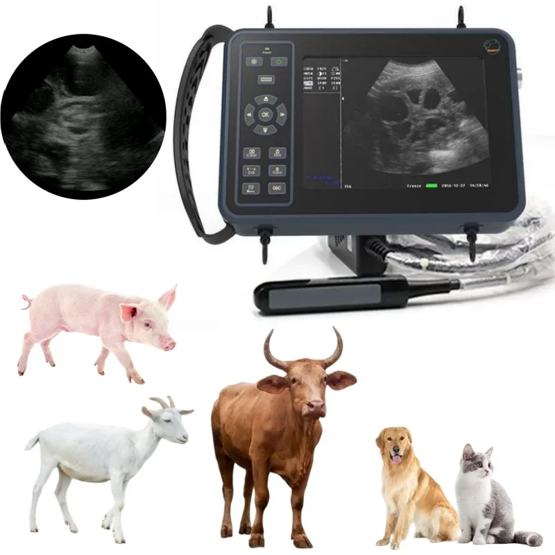 Veterinary Ultrasound Scanner Portable Pregnancy Testing For Cattle Cow Pig Sheep Horse Farm Animals Pet B-ultrasound Equipment